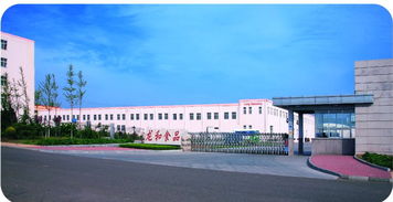 青島京瑞達(dá)貿(mào)易 以技術(shù)研發(fā)為引擎，驅(qū)動(dòng)計(jì)算機(jī)軟硬件業(yè)務(wù)發(fā)展